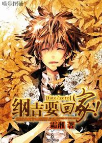 fatezero纲吉要回家