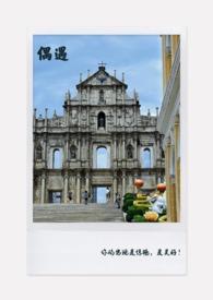 偶遇是什么意思啊