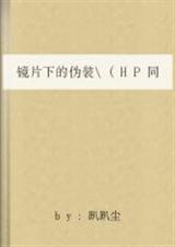 hp镜片下的伪装