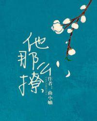 他那么撩动漫全集