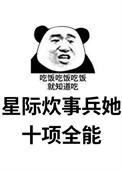 星际之全能炊事员类似