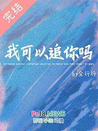 我可以追你吗的句子