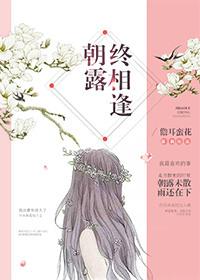 朝露终相逢书包网