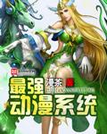 动漫系统流