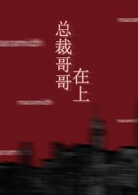 总裁哥哥在上男男