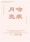 月亮吻痕txt书包网
