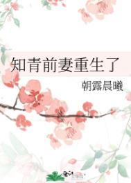 知青前妻重生了免费阅读