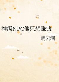 神级npc系统