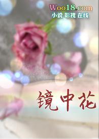 镜中花(高干 娱乐圈 H)_无梦_镜中