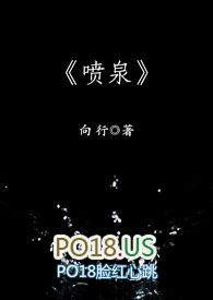 喷泉高HNP片