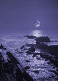 暗夜笔趣阁