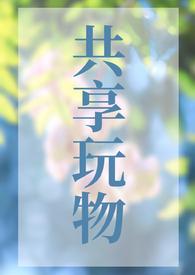 共享玩物(n)笔趣阁双男主