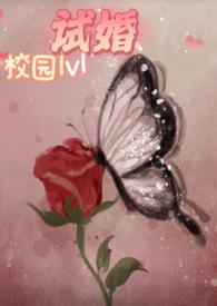 试婚(校园1v1h)