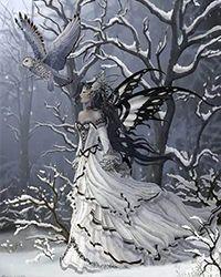 魔法师玫瑰花好种吗