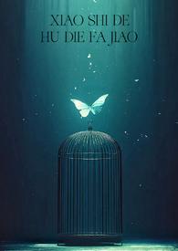 消失的蝴蝶发夹TXT版