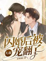 闪婚大叔用心宠