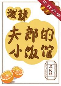 泼辣夫郎的小饭馆思林风