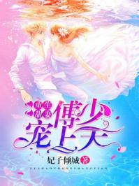 重生甜妻傅少宠上天全文免费阅读