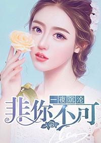 一夜沉婚 作者花时玖