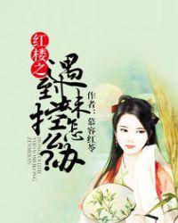 红楼之遇到妹控怎么办? 慕容红苓