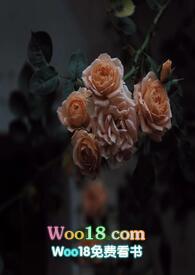 壁垒(骨科NP)_完整章节目录 - 乐乐