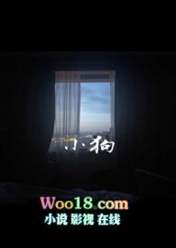 小狗暴打家具