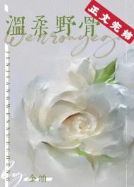 温柔野骨金岫晋江