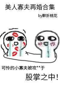 美人寡夫再婚合集免费