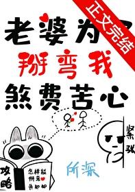 老婆为了掰弯我煞费苦心+讲的是什么