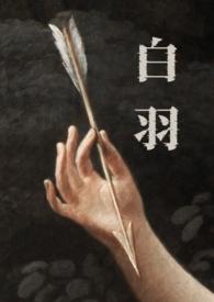 白羽是什么人物
