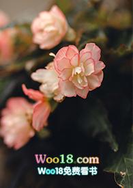 游园惊梦gl笔趣阁免费阅读