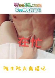 陈生陈太离婚记晋江