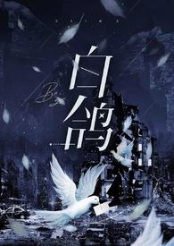 白鸽(强制)在线阅读