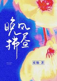 晚风拂昼(先婚后爱)新年快乐