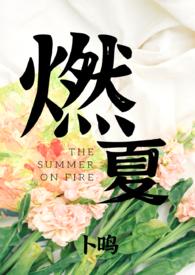 女主角叫夏燃的