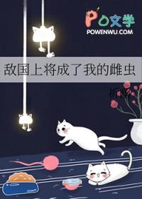 敌国大将受