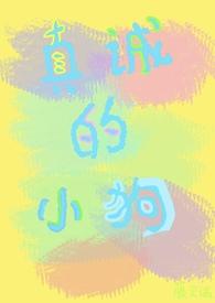 真诚的小眼神表情包