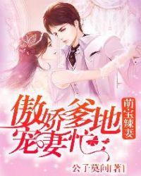 萌宝辣妻傲娇爹地宠妻忙 公子莫问