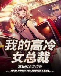 我的高冷女总裁老婆沈浪