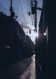 你是我的曙光完结po