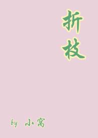 折枝肉车