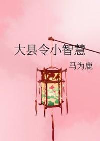 大县令小仵作书评