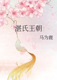 湛氏家族辈分图