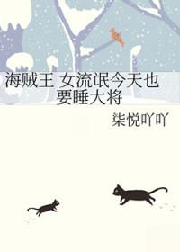 海贼王女被海军轮