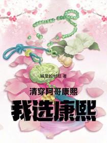 清穿穿成康熙阿哥