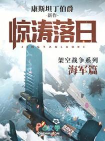 惊涛落日无弹窗阅读