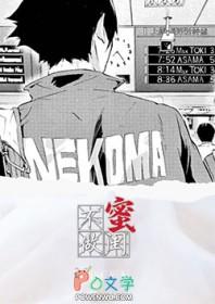 排球少年同人女主