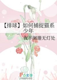 排球少年猫队自由人