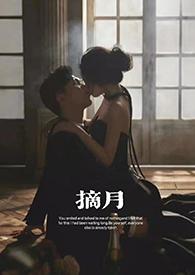 摘月免费赵淮安