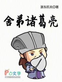 舍弟诸葛亮百度